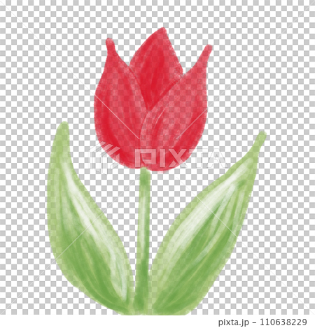 Hand-painted tulip 110638229