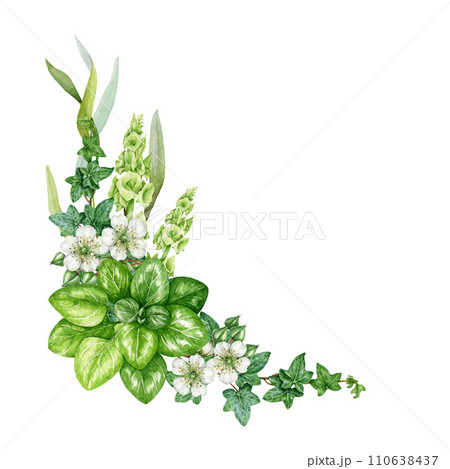 Green floral lush vintage style decor. Watercolor painted illustration. Hand drawn floral botanical decoration element. Green leaves, garden flowers natural decor element. White background 110638437