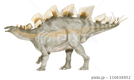 恐竜ステゴサウルス 剣竜類最大最もポピュラーな剣竜のイラスト素材 [110638952] - PIXTA
