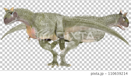 カルノタウルス　雌雄ペア　。白亜紀後期、南米大陸に生息していた大型獣脚類。 110639214