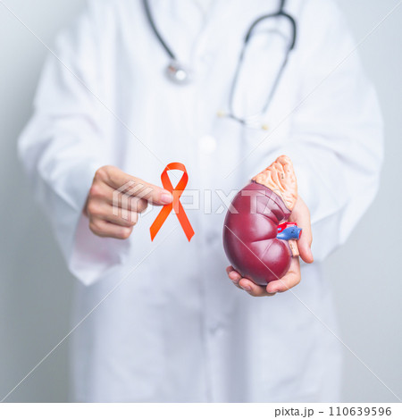 Doctor holding Orange ribbon with kidney Adrenal gland model. Kidney Cancer Awareness March month, disease of Urinary system and Stones, Cancer, Chronic kidney, Urology, Renal and Transplant concept 110639596