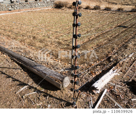 防獣用の電気柵 110639926