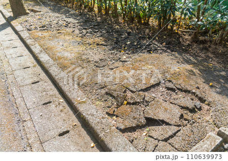 舗装がひび割れた傷みの激しい歩道 110639973