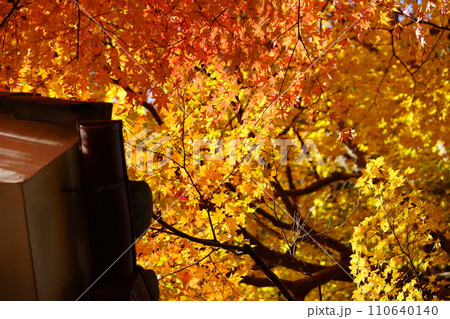 京都・正法寺・屋根を覆う真っ赤な紅葉 京都・正法寺・屋根を覆う真っ赤な紅葉 110640140