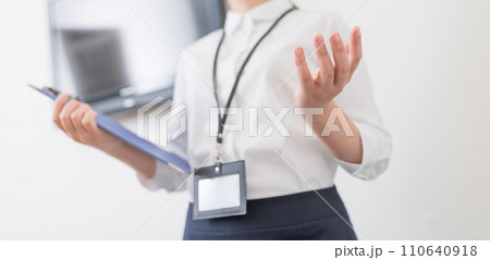 企業のオフィスでのビジネスシーン 企業のオフィスでのビジネスシーン 110640918