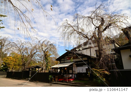 秋の角館武家屋敷 110641147