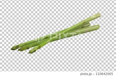 Fresh asparagus illustration material 110642005