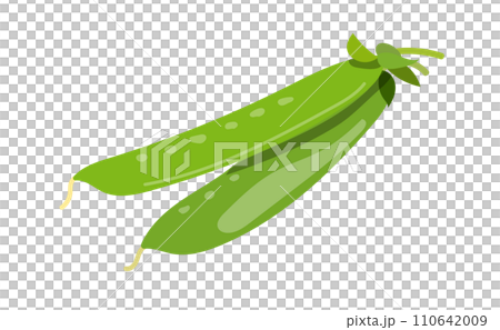 新鮮荷蘭豆插畫素材 110642009