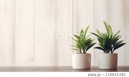 観葉植物　インテリア 110642392