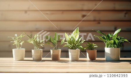 観葉植物　インテリア 110642393