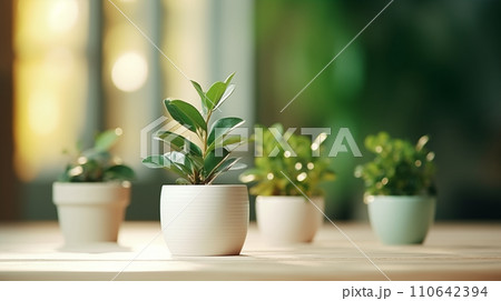 観葉植物　インテリア 110642394
