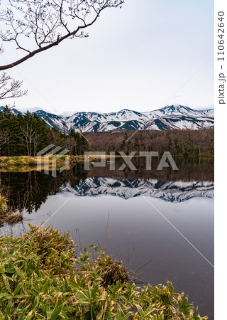 《知床国立公園》　知床五湖の自然風景　山と森と湖　二湖 110642640