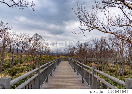 知床国立公園 知床五湖 北海道 一湖の散策ルート 知床国立公園 知床五湖 北海道 一湖の散策ルート 110642645