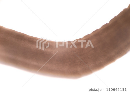 Tapeworms (Cestoda: Caryophyllidea), Parasites of Fish in Thailand. 110643151