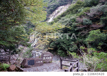 屋久島 大川の滝 屋久島 大川の滝 110643420