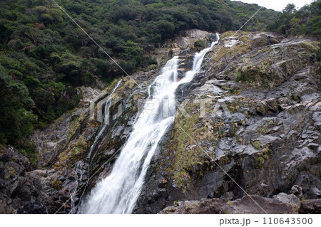 屋久島 大川の滝 屋久島 大川の滝 110643500