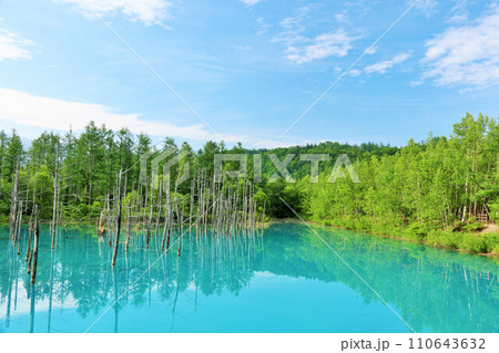 北海道 青空の青い池 北海道 青空の青い池 110643632