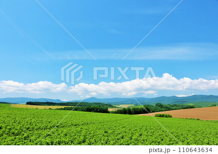 北海道 夏の青空と美瑛の風景 北海道 夏の青空と美瑛の風景 110643634