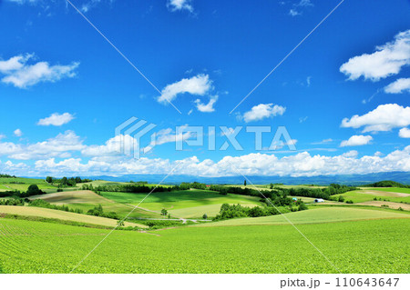 北海道　夏の青空と美瑛の風景 110643647
