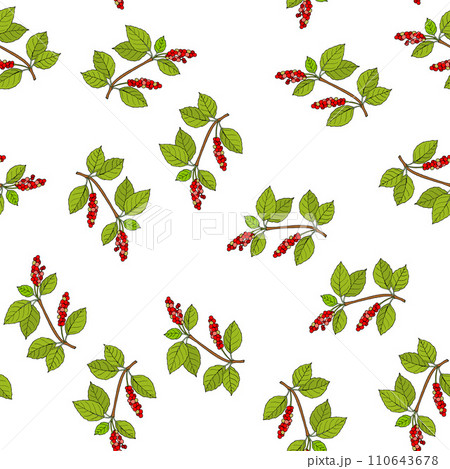 Seamless pattern with chinese schisandra branches Seamless pattern with chinese schisandra branches 110643678