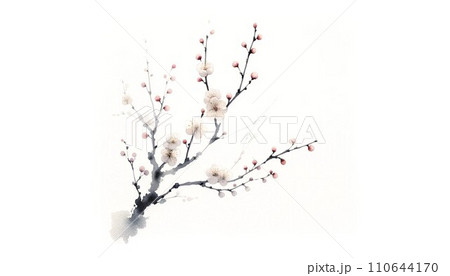 水彩で描いた梅の花 水彩で描いた梅の花 110644170