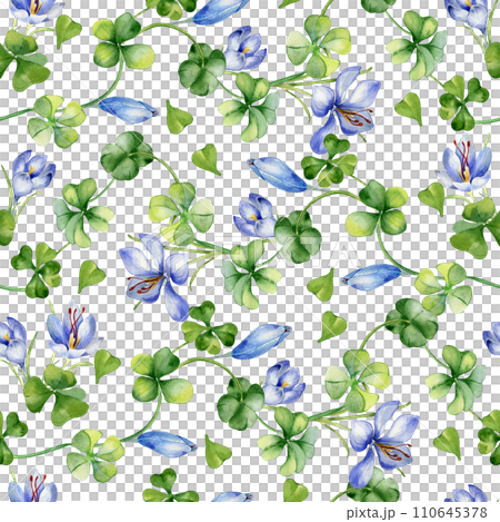 Watercolor seamless pattern with saffron and clover isolated on white. Painted herbal plants and flowers. Hand drawn Irish symbol. Design for St.Patricks day, Easter backdrop, package, textile Watercolor seamless pattern with saffron and clover isolated on white. Painted herbal plants and flowers. Hand drawn Irish symbol. Design for St.Patricks day, Easter backdrop, package, textile 110645378