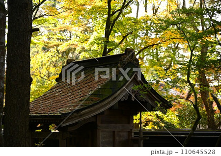 秋の角館武家屋敷 110645528