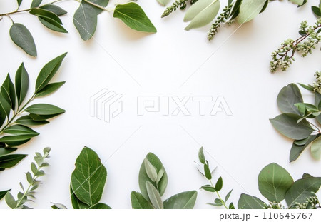 a photo of a green arrangement of leaves on a white background a photo of a green arrangement of leaves on a white background 110645767