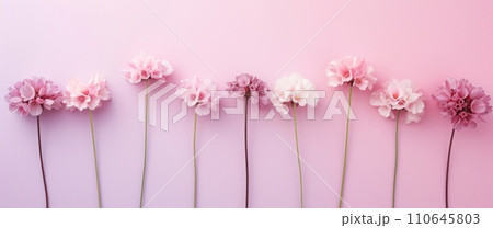 pink and white background full of pink flowers flowers pink and white background full of pink flowers flowers 110645803