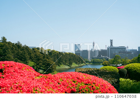 Chidoriga-fuchi Park and city view at spring in Tokyo, Japan 110647038