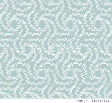 Geometric Seamless Fine Pattern. Classic Ornament 110647153