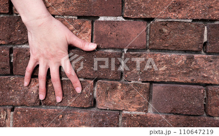 レンガと手 110647219