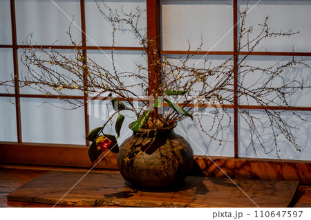 古民家の和室に飾られた生け花,華道イメージ 古民家の和室に飾られた生け花,華道イメージ 110647597