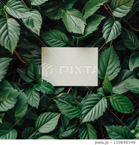 an empty paper card surrounded by green leaf 110648349