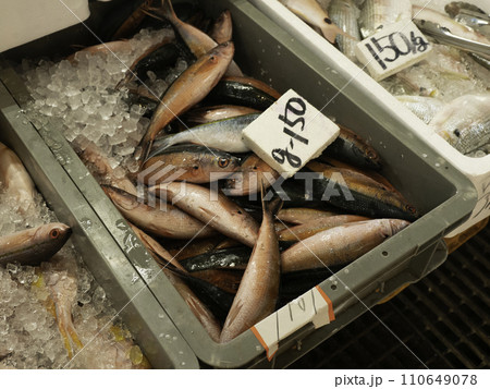 沖縄の県魚　グルクン 110649078