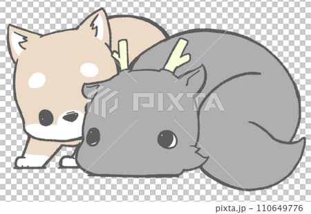 見つめあう柴犬と辰（黒色） 110649776
