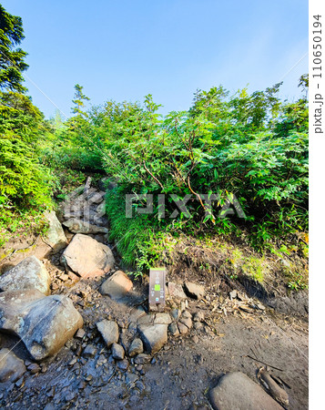 夏の火打山登山(富士見平分岐) 夏の火打山登山(富士見平分岐) 110650194
