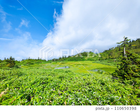 夏の火打山登山（高谷池） 110650398