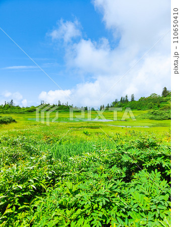 夏の火打山登山（高谷池） 110650410