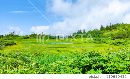夏の火打山登山(高谷池) 夏の火打山登山(高谷池) 110650432