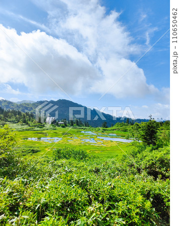 夏の火打山登山（高谷池と高谷池ヒュッテ） 110650462