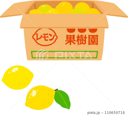 段ボール箱に入ったたくさんのレモン 110650718