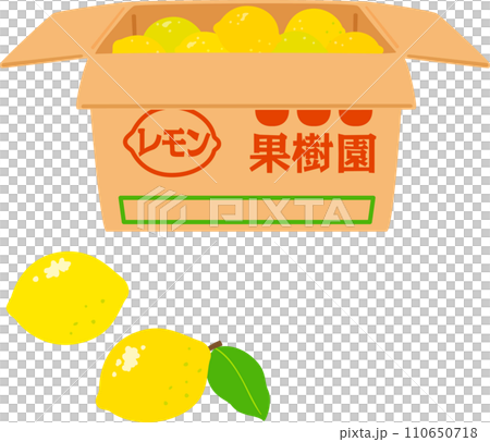 段ボール箱に入ったたくさんのレモン 110650718