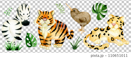 set of cute animals, safari. watercolor drawing tiger, leopard, zebra, kiwi bird 110651011