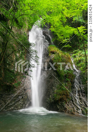 南天の滝 岐阜県川辺町 南天の滝 岐阜県川辺町 110651424