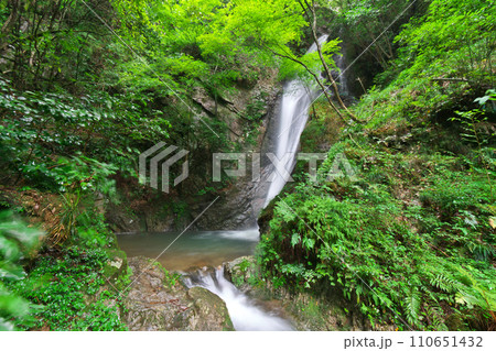 南天の滝 岐阜県川辺町 南天の滝 岐阜県川辺町 110651432
