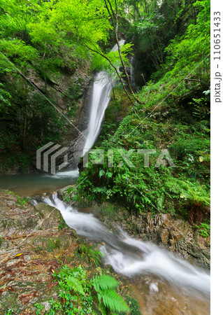 南天の滝 岐阜県川辺町 南天の滝 岐阜県川辺町 110651433