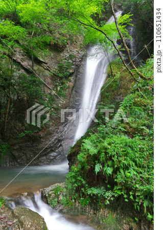 南天の滝 岐阜県川辺町 南天の滝 岐阜県川辺町 110651434