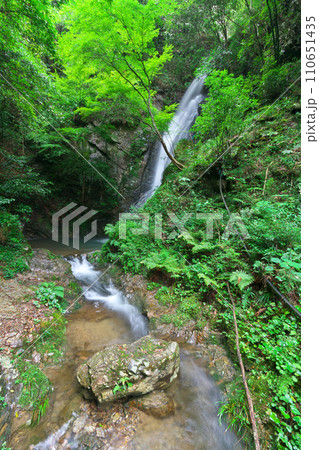 南天の滝 岐阜県川辺町 南天の滝 岐阜県川辺町 110651435