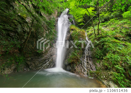 南天の滝 岐阜県川辺町 南天の滝 岐阜県川辺町 110651436